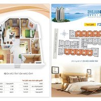 Căn Hộ Hudbuilding Nha Trang Giá Tốt Nhất Thời Điểm Hiện Tại