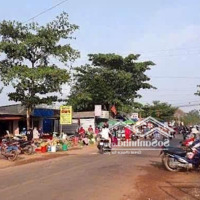Đất Bình Dương, Mặt Tiền Đường Nhựa Liên Xã,Diện Tích250M2 100M2 Tc Sẵn Vườn Sầu Riêng Giá Chỉ 400 Triệu.