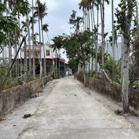 Bán Đất Lô Góc Ngõ 23 Cát Vũ Tràng Cátdiện Tích47,8M2 Giá Chỉ 1 Tỷ 245 Triệu.