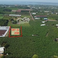 Bán 3.845M Đất Trồng Cây Lâu Năm Vị Trí Đẹp, Giá Tốt Nhất Khu Vực. Liên Hệ: 0379539579