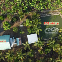 Bán Trang Trại, Khu Nghỉ Dưỡng, Cây Gáo, Trảng Bom, Đồng Nai, 4,2 Tỷ, 3400M2, View Đẹp, Giá Tốt