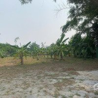Bán Đất 1200M2 Tại Xã Hòa Phong, Hòa Vang, Đà Nẵng, Giá Bán 2,47 Tỷ