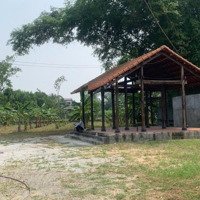 Bán Đất 1200M2 Tại Xã Hòa Phong, Hòa Vang, Đà Nẵng, Giá Bán 2,47 Tỷ