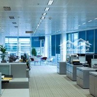 Cho Thuê Tòa Nhà Mặt Phố Lý Thường Kiệt, P Trần Hưng Đạo: Diện Tích 200M2 X 8 Tầng + 2 Hầm,Mặt Tiền11M