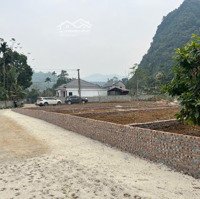 Chỉ 520 Triệu Sở Hữu Lô Đất Tại Lương Sơn. Hòa Bình