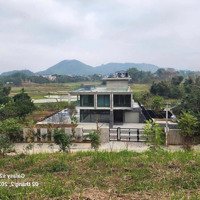 Diện Tích Lô Đất 4466M_400M Thổ Cư Mặt Tiền Hơn 90M Cách Tl446 Chỉ 200M