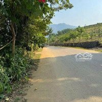 Diện Tích Lô Đất 4466M_400M Thổ Cư Mặt Tiền Hơn 90M Cách Tl446 Chỉ 200M
