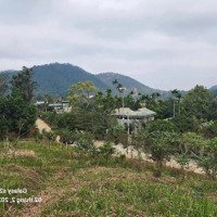 Diện Tích Lô Đất 4466M_400M Thổ Cư Mặt Tiền Hơn 90M Cách Tl446 Chỉ 200M
