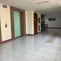 Bán CC Thanh Bình gần chợ Biên Hoà, căn 80m2 mới tinh, tặng full nội thất chỉ 1,7 tỷ