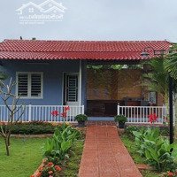 Bán Nhà Vườn 5,2Tỷ( 1000M2)Cách Nguyễn Xiển 100M- Cách Biển 3Km- Vĩnh Phương