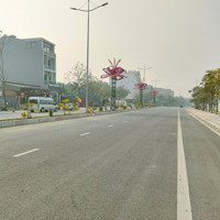 100M2 Sẵn Sổ Vĩnh Yên Center, Vĩnh Yên, Vĩnh Phúc View Vườn Hoa Giá Đầu Tư 2.Xxx Tr
