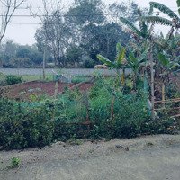 Với 240 Triệu Đã Có 157M2 Full Đất Ở Tại Huyện Yên Thủy, Hoà Bình, Mặt Tiền 6M. Sổ Hồng Cất Két