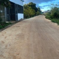 Bán 1000M2 Đất Khu Bàn Cờ Xã Liên Hiệp,Diện Tích12X93 Có 100M2 Thổ Cư Giá Bán 3.6 Tỷ