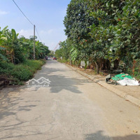 Bán Đất 150M2 Đường Nhựa 12M Tại Đường 10, Xã Bắc Sơn, An Dương, Hải Phòng, Giá Ưu Đãi 2,8 Tỷ