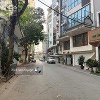 Bán Đất Tặng Nhà Trần Thái Tông Sát Công Viên Cầu Giấy, Phân Lô Vỉa Hè, Ôtô Tránh, Kd, 138M2, 3X Tỷ