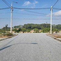 Đấu Giá Mới Tống Trân - Phù Cừ Mặt Đường 30M
