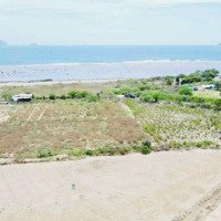 Chính Chủ Cần Bán Gấp Đất Thôn Đông Xã Ninh Vân Huyện Ninh Hoà