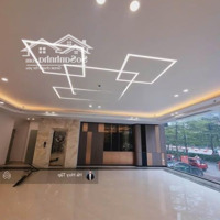 Văn Phòng Cực Hot Tại Tôn Thất Thuyết, Cầu Giấy, Diện Tích: 120M2/Sàn Thông, Giá Rẻ, Liên Hệ: 0394059812