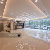 Văn Phòng Cực Hot Tại Tôn Thất Thuyết, Cầu Giấy, Diện Tích: 120M2/Sàn Thông, Giá Rẻ, Liên Hệ: 0394059812