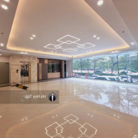 Văn Phòng Cực Hot Tại Tôn Thất Thuyết, Cầu Giấy, Diện Tích: 120M2/Sàn Thông, Giá Rẻ, Liên Hệ: 0394059812