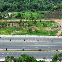 Bán Đất Quốc Lộ 56, Tân Hải, Phú Mỹ, Bà Rịa Vũng Tàu Chỉ Với 37 Triệu / M2, 200M2