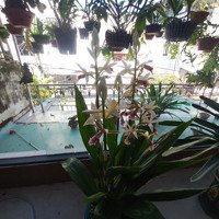 Mặt Tiền Kinh Doanh Sầm Uất,Diện Tích50M2 Đống Đa, Hải Châu, Dòng Tiền 100 Triệu/Th Chỉ 12.3 Tỷ.