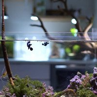 Mặt Tiền Kinh Doanh Sầm Uất,Diện Tích50M2 Đống Đa, Hải Châu, Dòng Tiền 100 Triệu/Th Chỉ 12.3 Tỷ.
