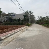 Bán Đất Tại Liên Châu, Yên Lạc, Vĩnh Phúc 1,5 Tỷ, 110M2, 100% Thổ Cư