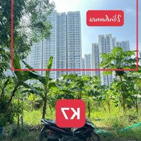 Bán Đất Nguyễn Xiển Châu Long Đối Diện Siêu Đô Thị Vinhomes, Vincom, Công Viên 36Ha Giá Cực Mềm