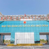 Cần Ra Hàng Suất Ngoại Giao Vinhomes Golden Avenue Móng Cái Chỉ 1,5 Tỷ
