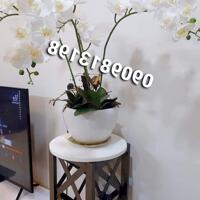 ️️️Nhà Đẹp SHR 5 Tầng Thang Máy P3 Quận 3 Bán Nhanh Giao Ngay.️️️
