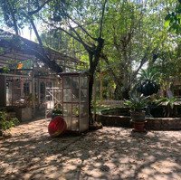 Cho Thuê Mặt Bằng 1500M Vị Trí Đẹp Kinh Doanh Đa Ngành Nghề Tại Linh Đông, Thủ Đức, Giá Bán 70 Triệu, Tl