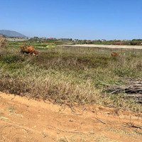Bán 2500M2 Đất Sát Bên Thạnh Mỹ Qh Full Thổ Thích Hợp Làm Nhà Vườn Nghỉ Dưỡng Đạ Ròn Đơn Dương Lđ