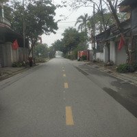 Bán Đất Hậu Dưỡng Kim Chung, Đông Anh, Hà Nội, 7,65 Tỷ, 115M2, Mặt Tiền 6M, Ngõ 3,3M