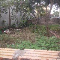 Bán Đất Hậu Dưỡng Kim Chung, Đông Anh, Hà Nội, 7,65 Tỷ, 115M2, Mặt Tiền 6M, Ngõ 3,3M