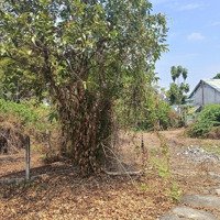 Hóc Môn - Tân Hiệp Dương Công Khi 10M Mặt Tiền - Full Thổ - 1200M2 - Ngang 20M Hơn 30 Tỷcó Thương Lượngtốt