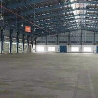 Cho thuê hoặc chuyển nhượng 29.000m2 đất có 10.000m2 kho nhà xưởng khu công nghiệp Chu Lai, Quảng Nam.