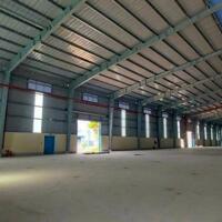 Cho thuê hoặc chuyển nhượng 29.000m2 đất có 10.000m2 kho nhà xưởng khu công nghiệp Chu Lai, Quảng Nam.
