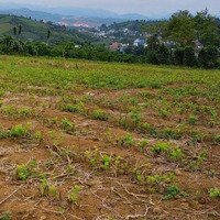 Bán 4800M2 Vườn Dâu Thôn 3 Lộc Tân, Huyện Bảo Lâm. Đất Gần Dân Cư, Đường Lớn Đất Triền Đẹp Giá Rẻ