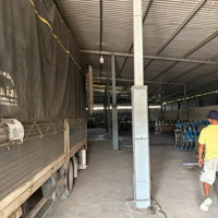 Xưởng 3000M2 Skc Thuộc Ấp 2 Xã Đức Hòa Đông Đường Thông Xe Công Đi Thoải Mái