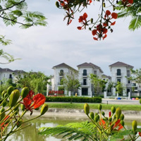 Bán Biệt Thự Đơn Lập 216M2 Giá 55 Triệu/M2 Tại Từ Sơn Cách Long Biên 6Km, Cách Trung Tâm Hà Nội 12Km