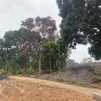 1332.8 M2 Đất Tại Xã Lâm Sơn, Huyện Lương Sơn, Tỉnh Hoà Bình 0986835608