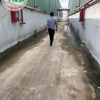 Cho Thuê Kho Xưởng 3.100 M2 Ccn Gốm Sứ Tân Hạnh, Biên Hòa, Đồng Nai