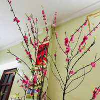 Mặt Phố Xã Đàn To Đống Đa Gần Hai Bà Trưng Hà Nộidiện Tích130 M 4 Tầng 5.3Mặt Tiền8X Tỷ Liên Hệ: 0964519986