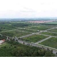 Cần bán 21.000m2 đất SXKD mặt tiền Quốc lộ 1A, tại Điện Bàn, Quảng Nam.