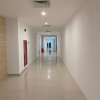 Cho Thuê Văn Phòng Tại Sme Hoàng Gia, 150 Nghìn/M2/Th, 330 M2, Hà Đông, Hà Nội