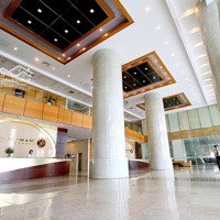 Cđt Cho Thuê Văn Phòng Nam Cường Building, Miễn Phí 1 Tháng Setup