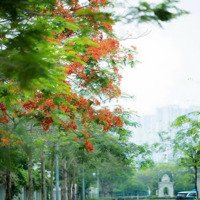 Bán Gấp Biệt Thự Tại An Lạc Green Symphony, 24 Tỷ, 101M2, 4 Phòng Ngủ 3Wc