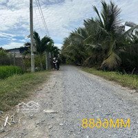 Chính Chủ Bán Đất Vườn Tại Gò Công Tây, Thoáng Mát, Đông Dân Cư