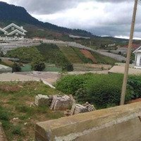 Đất Mặt Tiền Đường Nhựa Chính 19/5 Lạc Dương, Gần Ngã 4 Lạc Dương, Sổ Hồng Chính Chủ